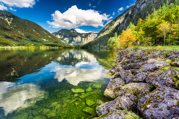 Naklejka na ściany i meble Autumn trees near the mountain lake in Alps