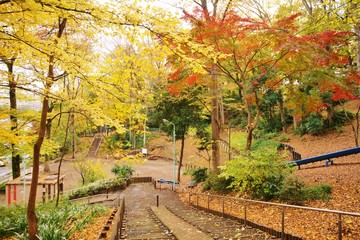 Naklejka premium 秋の公園