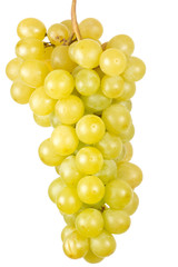 grappe de raisins blancs