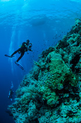 Divers swimming in Banda, Indonesia underwater photo
