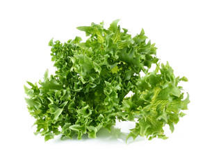 lettuce isolated on white background