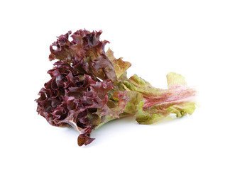 Fresh red lettuce on white background