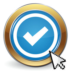 VALIDATION ICON