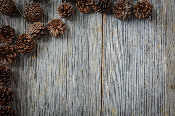 Pine Cone on Rustic Wood Background
