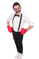 Funny boxer isolated on the white background