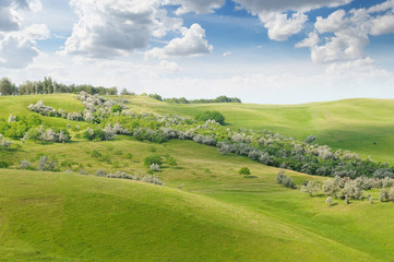 Fototapeta na wymiar landscape with hilly field and blue sky