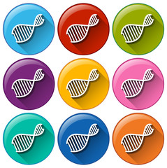 Buttons with DNA symbols