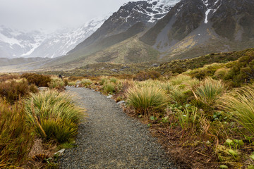 Hooker Lake in Mount Cook National Park, New Zealand