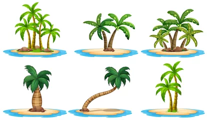 Poster Islands and palm tree © GraphicsRF