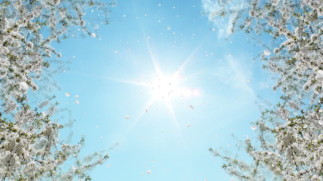 Fr&uuml;hling