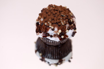 Cute delicious chocolate cupcake
