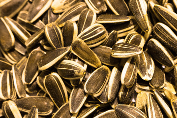 Sunflower seeds background