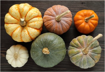 Squash and pumpkins