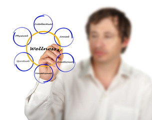 Diagram of wellness
