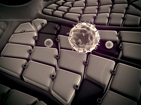 virus, Hepadnavirus