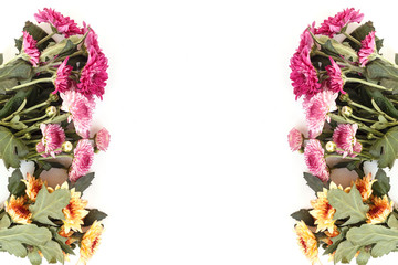 Flower isolated on white background