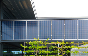 solar panels on office building © hansenn