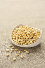 Wheat grains in white ceramic bowl on sackcloth background