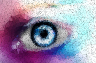 beautiful eye in geometric styling abstract geometric background
