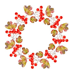 Wreath of viburnum