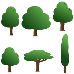 Fototapeta premium Vector image of a tree.