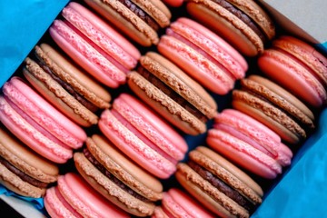 Tasty macaroons in a box
