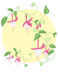 fuchsia design