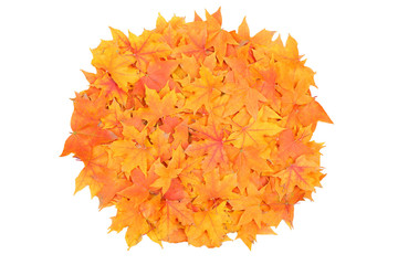 background autumn leaves