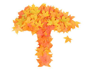 Autumn leaves in shape of tree isolated on white