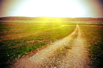 trail on grass 