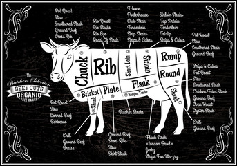 poster with detailed diagram cutting cows © 111chemodan111