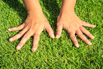 Hands on green grass