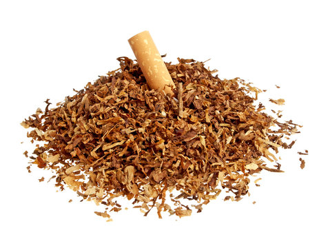 Cigarette and tobacco isolated on a white background