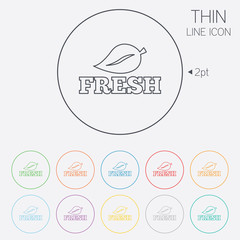 Fresh product sign icon. Leaf symbol.