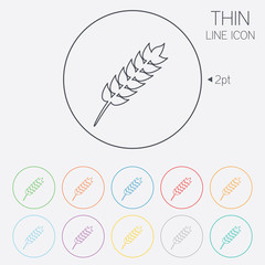 Gluten free sign icon. No gluten symbol.