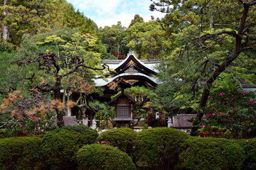 Obraz premium 京都 岡崎神社
