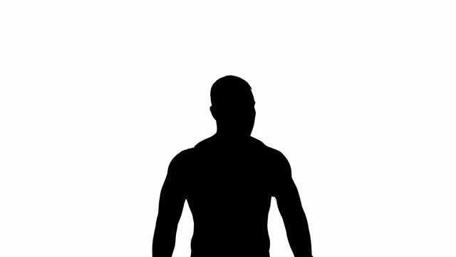 Boxer winner silhouette on white background