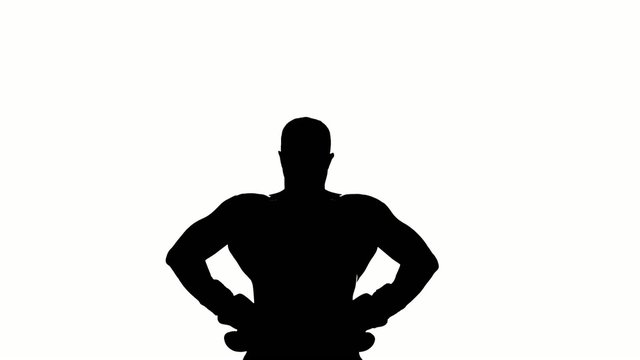 Boxer winner silhouette on white background