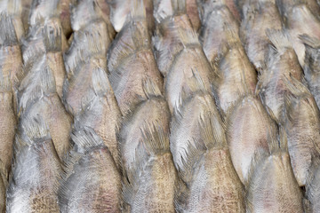Dry preserved Gourami fish in market.