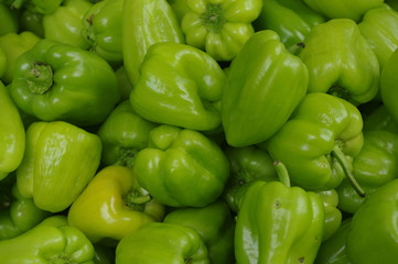Obraz na płótnie Canvas chili - paprika
