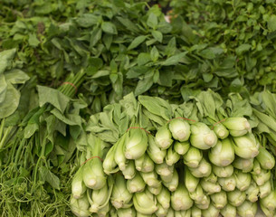 Various fresh vegetables in market.