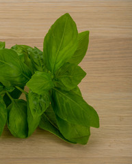 Basil leaves