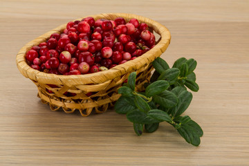 Cowberry