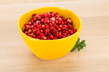 Cowberry