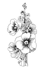 Beautiful painted flower sketch - 74028934