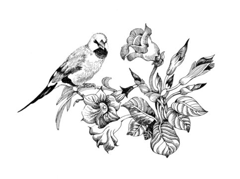 Wild exotic bird on twig