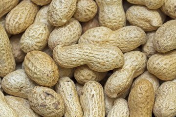Many peanuts in shells