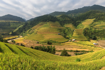 Fototapeta na wymiar Beautiful Rice Terraces, South East Asia