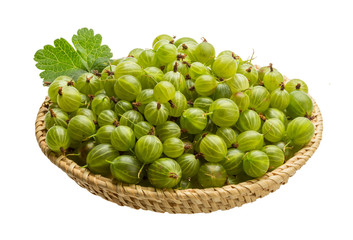 Gooseberry