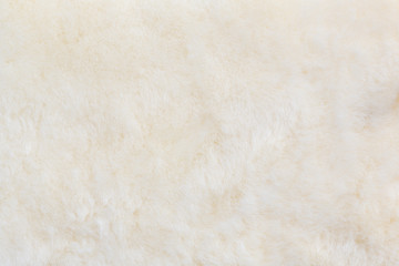 Cotton Wool Texture for background